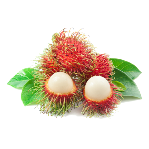 Olistic Premium Personal Care 1kg